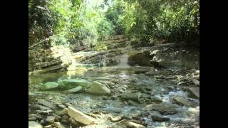 ¿POR QUE VISITAR MISANTLA?