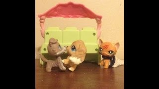 Littlest pet shop-High school bullies part 8(Prom drama and disasters!)(SEASON FINALE)