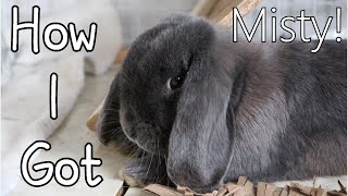 How I Got Misty