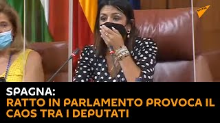 #Spagna: ratto in parlamento provoca il caos tra i deputati
