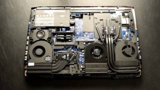 AVADirect Avant P870DM-G