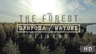 Беларусь: Природа – Лес (The Forest) HD