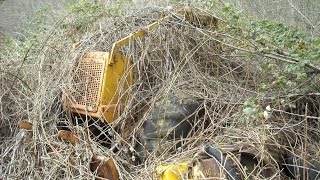 Abandoned Skidder & Yarder Winch