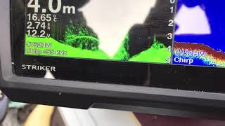 Garmin Striker 7sv. Дерево под водой ?