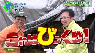 2017活性誘導水を使った一番草の出来は？デイリーネットワーク【第４回】