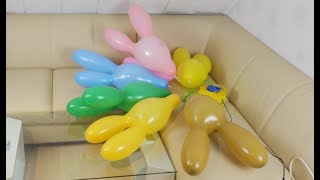 pumping and bursting 8 rabbit balloons