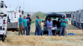 Wheat Harvest 2012 Rock