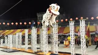 Pertunjukan Barongsai juara 1 di Thailand