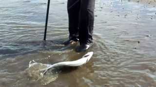 Pesca en la Punta del Haras San Blas 19 de Octubre de 2013