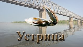 Русская Рыбалка 3.99 Устрица