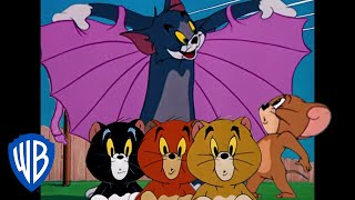 Tom y Jerry en Latino | Dibujos animados clásicos 132 | WB Kids