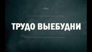 Черешня. Технология переработки фруктового сырья ч.4