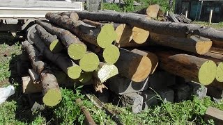 Заготовка древесины своими силами. Вариант 1. Ольха
