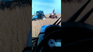 T6 110 com Kuhn 9 linhas + TL 75 com Sfil 7 linhas