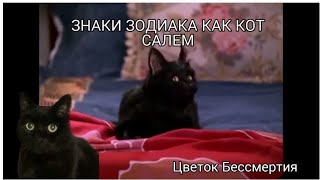 ЗНАКИ ЗОДИАКА КАК КОТ САЛЕМ