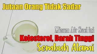 BIKIN GEGER... MINUM INI KOLESTEROL MAUPUN HIPERTENS SEMBUH TANPA UBAT