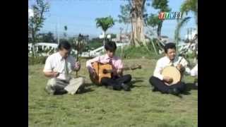 Đờn ca Tài tử Cải lương: Hòa tấu Đảo Ngũ Cung