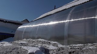 Обзор погоды, теплиц и рассады 19 марта. Сегодня счастливый день! Ольга Чернова