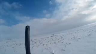 Первый заяц 2016