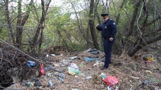 В Московской области 1 октября запустили сайт и мобильное приложение «Добродел»