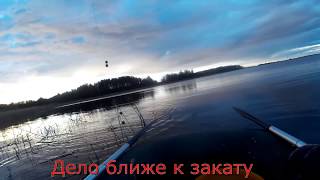 Нерест плотвы. Весенняя рыбалка на поплавочную удочку Чудское озеро