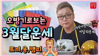 [용한점집]오방기로 알아보는 3월달운세 토끼,용,뱀띠#신바람이법사 010.2354.0061