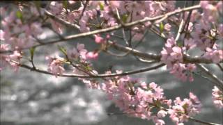 Борис Леви.  Весна. Boris Levi. Spring.