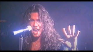 Slaughter - The Wildlife (Album Version) (1992)