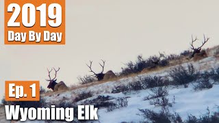 We Found 79 Bulls! | 2019 Wyoming Elk with Uncle Larry (Ep. 1)