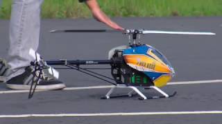 Kunal's T-REX 600E RC Helicopter at Wavemasters