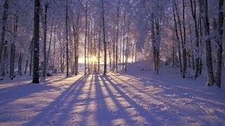 Приход зимы так скор и неизбежен...   Раймонд Паулс. Элегия (Бабочки на снегу.)