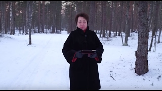 499. Хлеб на каждый день. Чем мы питаемся?