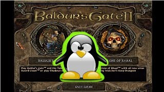 Baldur's Gate для Linux (#Игры для Linux)