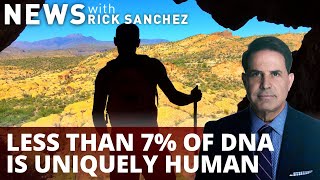 Why are we different from other animals? Scientists say...