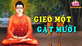 Đêm Trằn Trọc Khó Ngủ Nghe Phật Dạy GIEO 1 GẶT 10 Cả Đời Bình An May Mắn Hạnh Phúc Ngủ Ngon Hơn #MỚI