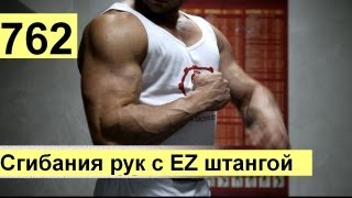 Сгибания рук стоя со штангой с изогнутым грифом. Подробный обзор