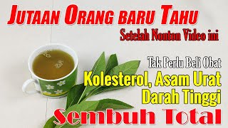 SETELAH NONTON VIDEO INI, TANAM SEGERA TUMBUHAN INI DI HALAMAN RUMAH BIAR TIDAK KE APOTEK TERUS