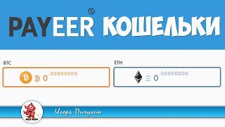 ? PAYEER КОШЕЛЬКИ BTC и ETH ✨