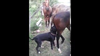 Sexo oral peligroso