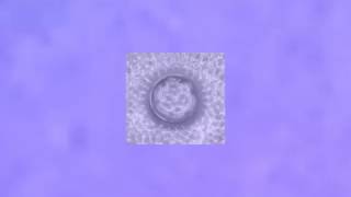 Third Eye Chakra Tuning Video