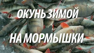 ЛОВЛЯ ОКУНЯ ЗИМОЙ НА МОРМЫШКУ С НОРМУНДОМ ГРАБОВСКИСОМ