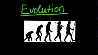 Einführung in die Evolution und die natürliche Selektion - Biologie