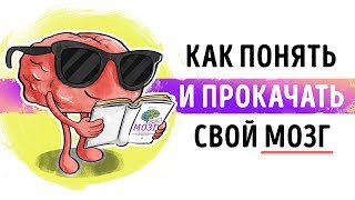 «Мозг. Инструкция по применению». Дэвид Рок | Видео Саммари