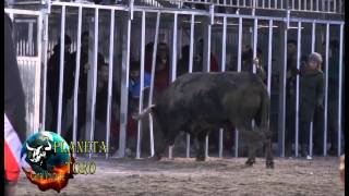 2015 01 20 BENICASIM HNOS BENAVENT