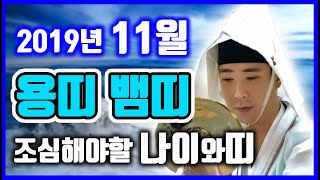 띠별운세 정도령 " 2019년 기해년 11월 양력 용띠운세 뱀띠운세 " 인천점집 경기도점집 서울점집 박수무당 굿잘하는무당 shaman