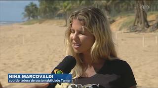 Projeto Tamar completa 40 anos preservando tartarugas