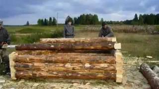 Рубка сруба в лапу окорённое бревно