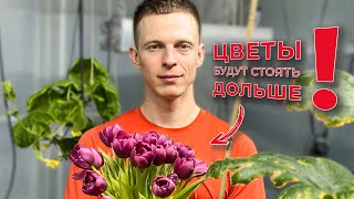 Чтоб ваши тюльпаны простояли в 3 раза дольше нужно...