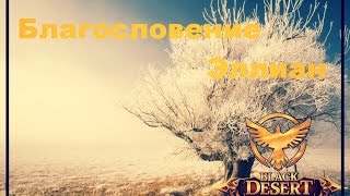 Black Desert  Благословение Эллиан (Эффективность на практике)