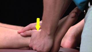 Distal Tibula Fibular Joint Mobilization